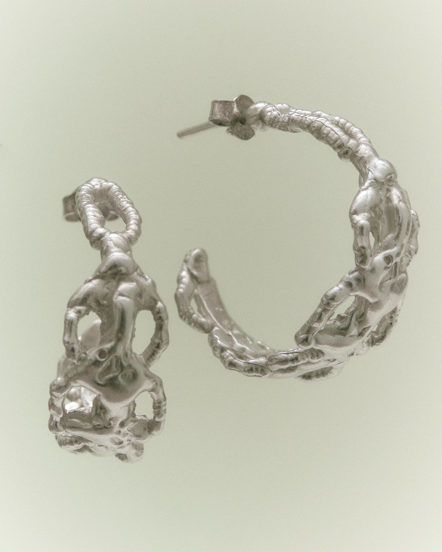 Vertebrae Hoops
